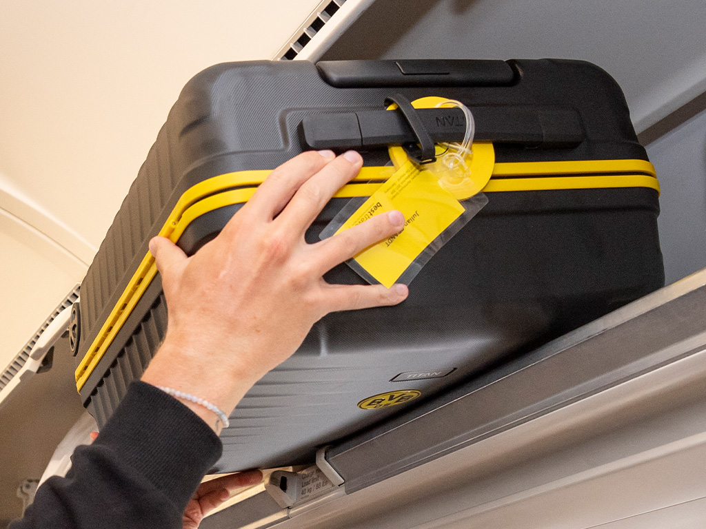 LITRON Frame BVB Edition case series from TITAN